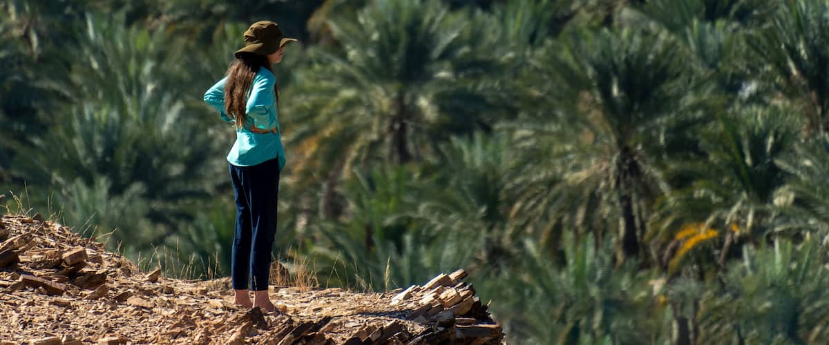 A person standing on a rocky outcrop overlooking a dense palm tree forest.