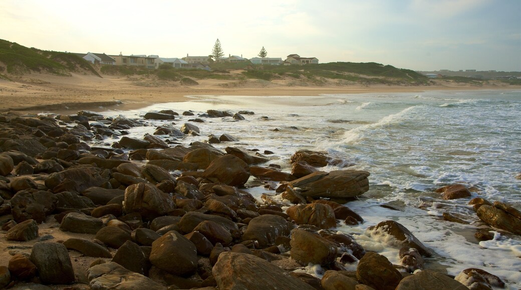 Cape Saint Francis mettant en vedette cÎte escarpée, vues littorales et plage