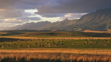 ์ค์ฐ๋ ๋ด ์ด ํฌํจ ๊ฐ์ ์๊ฐ, ๋์ฅ ๊ณผ ํ๊ฒฝ