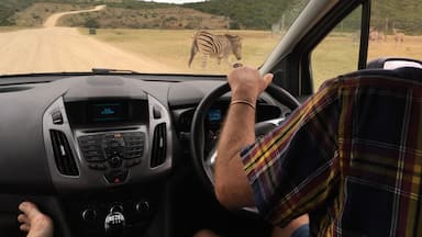 I had to do it! What is it? Yes, a zebra crossing. #OnTheRoad