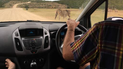 I had to do it! What is it? Yes, a zebra crossing. #OnTheRoad