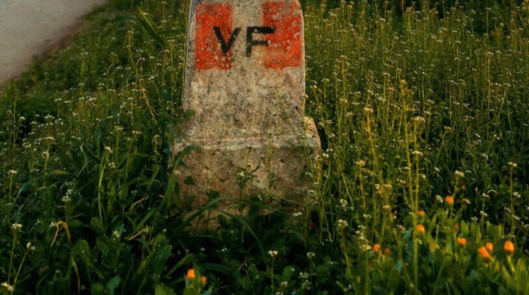 The Via Francigena is the common name of an ancient road and pilgrim route running from France to Rome, though it is usually considered to have its starting point much further away, in the English cathedral city of Canterbury. As such, the route passes through England, France, Switzerland and Italy. The route was known in Italy as the "Via Francigena" ("the road that comes from France") or the "Via Romea Francigena" ("the road to Rome that comes from France"). In mediaeval times it was an important road and pilgrimage route for those wishing to visit the Holy See and the tombs of the apostles Peter and Paul.