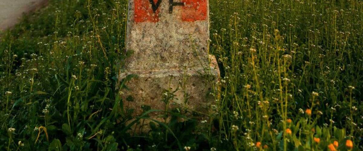 A gravestone with the inscription "VF" in a grassy field with a winding road and trees in the background.