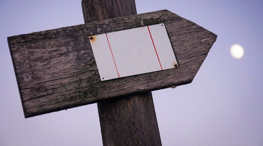 The Via Francigena is the common name of an ancient road and pilgrim route running from France to Rome, though it is usually considered to have its starting point much further away, in the English cathedral city of Canterbury. As such, the route passes through England, France, Switzerland and Italy. The route was known in Italy as the "Via Francigena" ("the road that comes from France") or the "Via Romea Francigena" ("the road to Rome that comes from France"). In mediaeval times it was an important road and pilgrimage route for those wishing to visit the Holy See and the tombs of the apostles Peter and Paul.