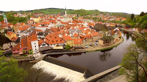 ๋ณดํค๋ฏธ์ ๋จ๋ถ ์ ๋ณด์ฌ์ฃผ๋ ๋์ ๊ณผ ๊ฐ ๋๋ ์๋ด