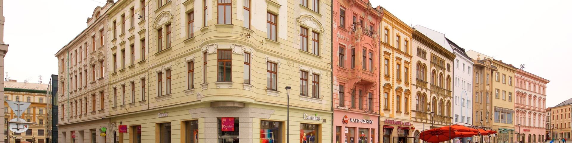 Olomouc which includes a city and a square or plaza