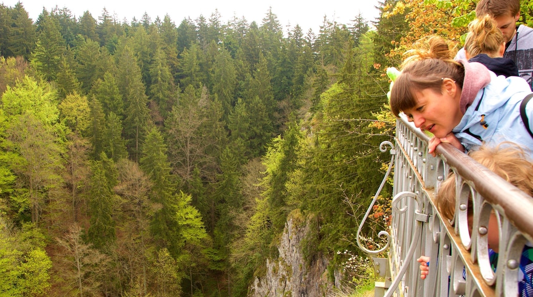 Moravia Septentrional ofreciendo escenas tranquilas, bosques y vistas