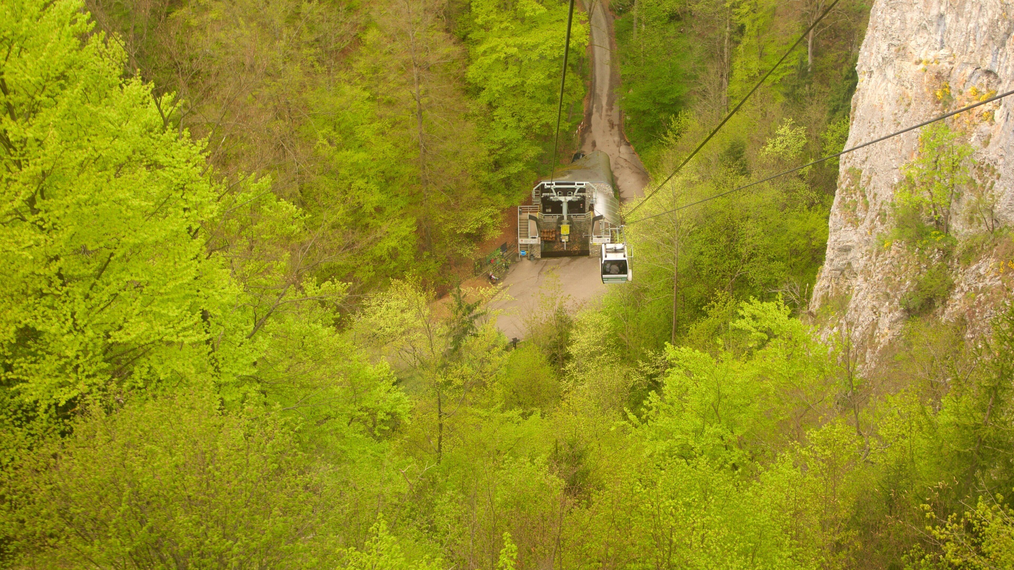 Moravia Septentrional que incluye una góndola, escenas forestales y escenas tranquilas