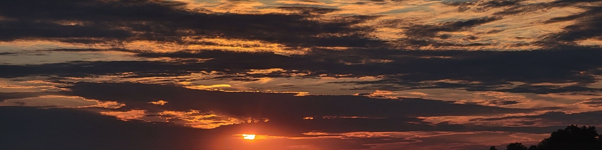 A sunset over a body of water with a silhouette of trees and a cloudy sky.