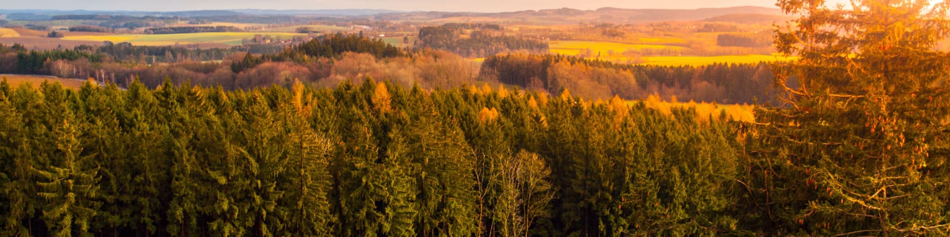 Panoramic landscape of Vysocina Mounstains, Czech Republic.