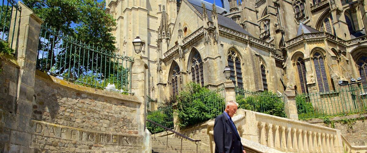 Sarthe showing an administrative buidling and heritage architecture as well as an individual male