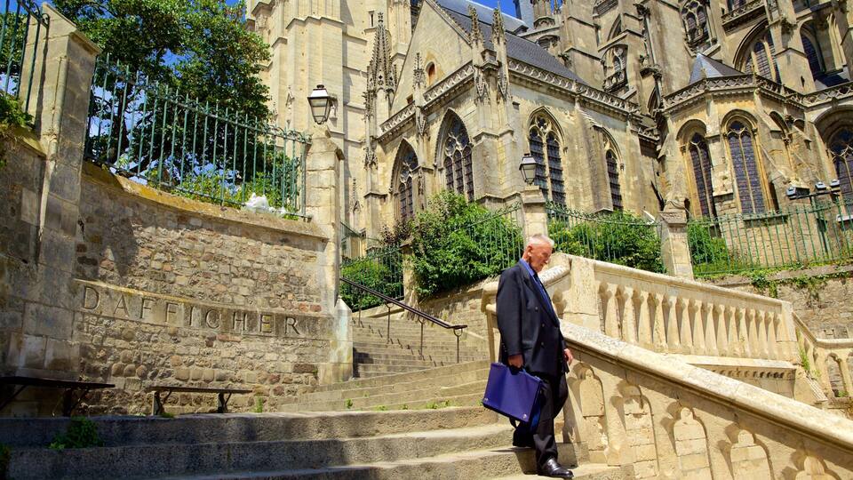 Sarthe showing an administrative buidling and heritage architecture as well as an individual male