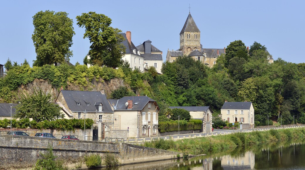 Mayenne