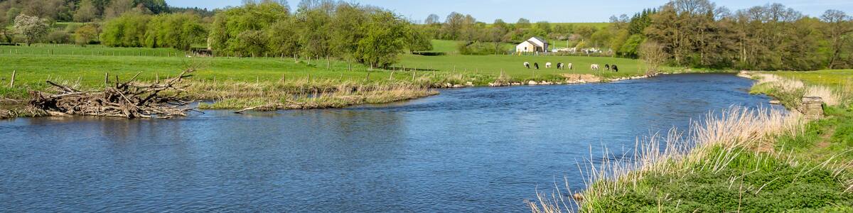 Typical landscape of the Belgian countryside on a beautiful, colorful, bright and sunny spring day. Municipality of Florenville, Wallonia, province of Luxembourg, Belgium