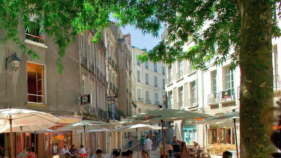 An outdoor café with patrons dining under umbrellas, surrounded by trees and historic buildings.