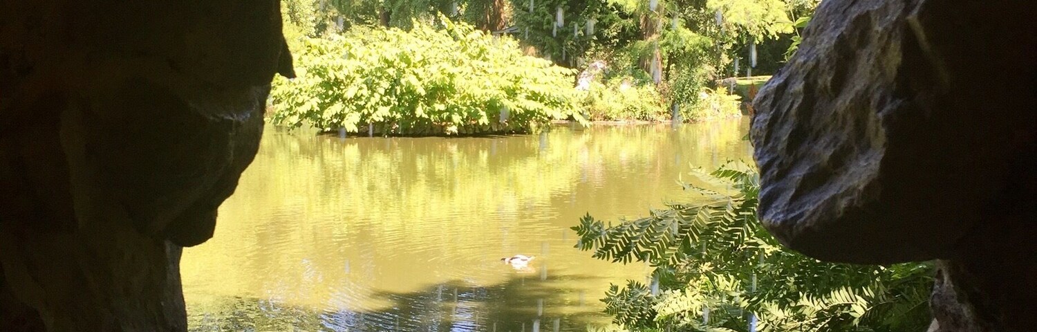 A small waterfall in the "Jardin des Plantes"
June 2017