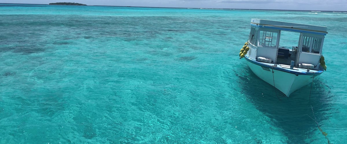 Not many Mantas at the Bay this morning, only about 10-15 of them