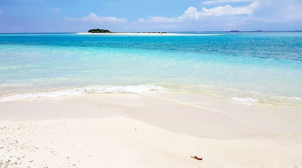An idyllic sandbar that you can swim to from nearby Mathiveri Island. There's nothing on the sandbar except for white sand and a handful of trees, making it a perfect escape for an afternoon swim or to watch the sunset.
#mathiveri #maldives #amazing #perfectspot #paradise