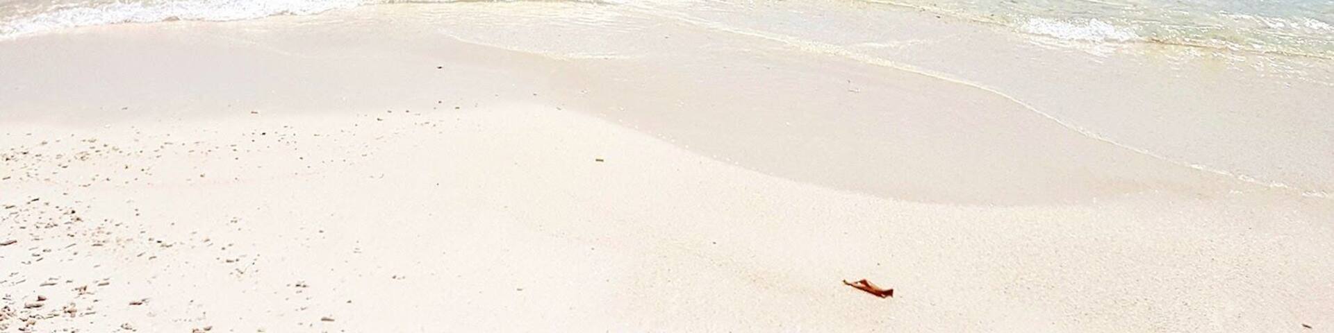 An idyllic sandbar that you can swim to from nearby Mathiveri Island. There's nothing on the sandbar except for white sand and a handful of trees, making it a perfect escape for an afternoon swim or to watch the sunset.
#mathiveri #maldives #amazing #perfectspot #paradise