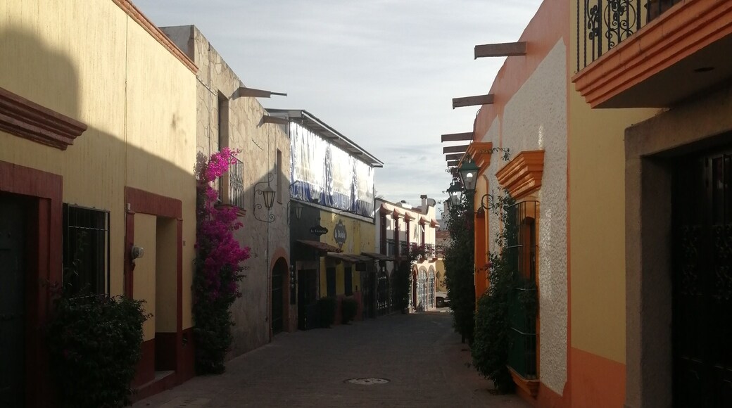 #tequis #travel #mexico