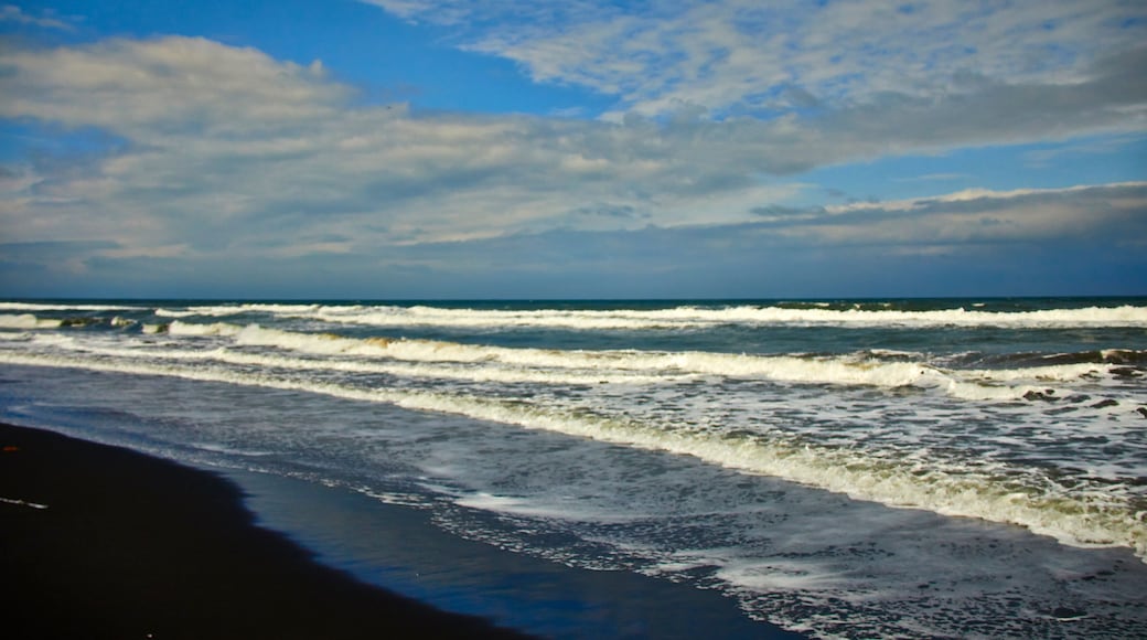 Alvarado, Veracruz, México.