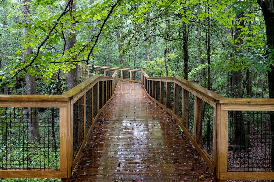 Oakridge Trail at Congaree National Park