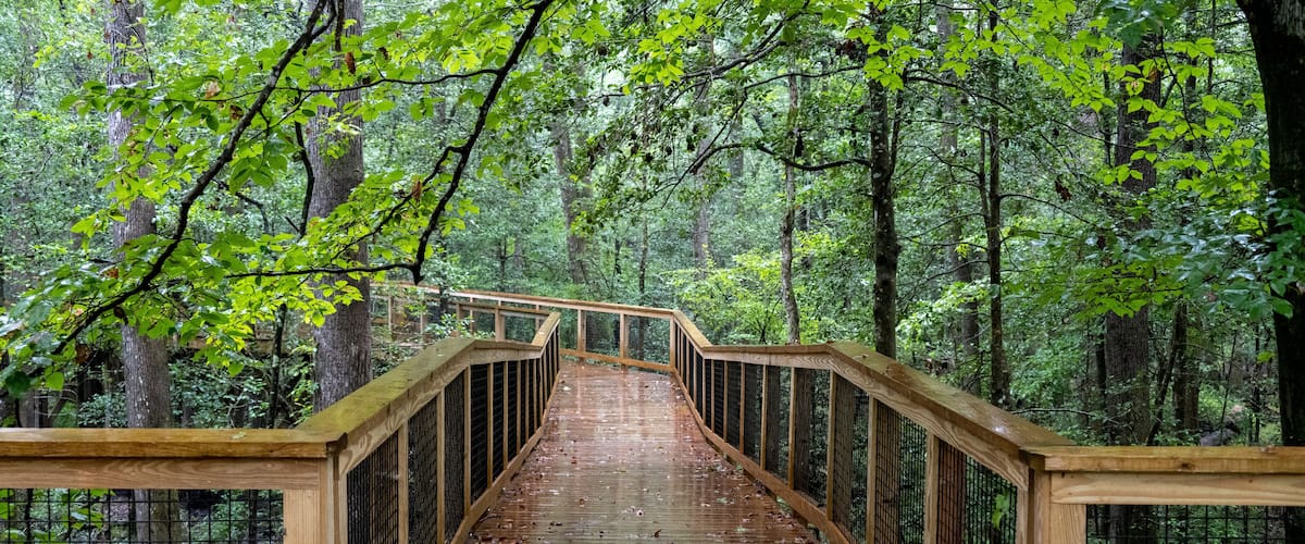 Oakridge Trail at Congaree National Park