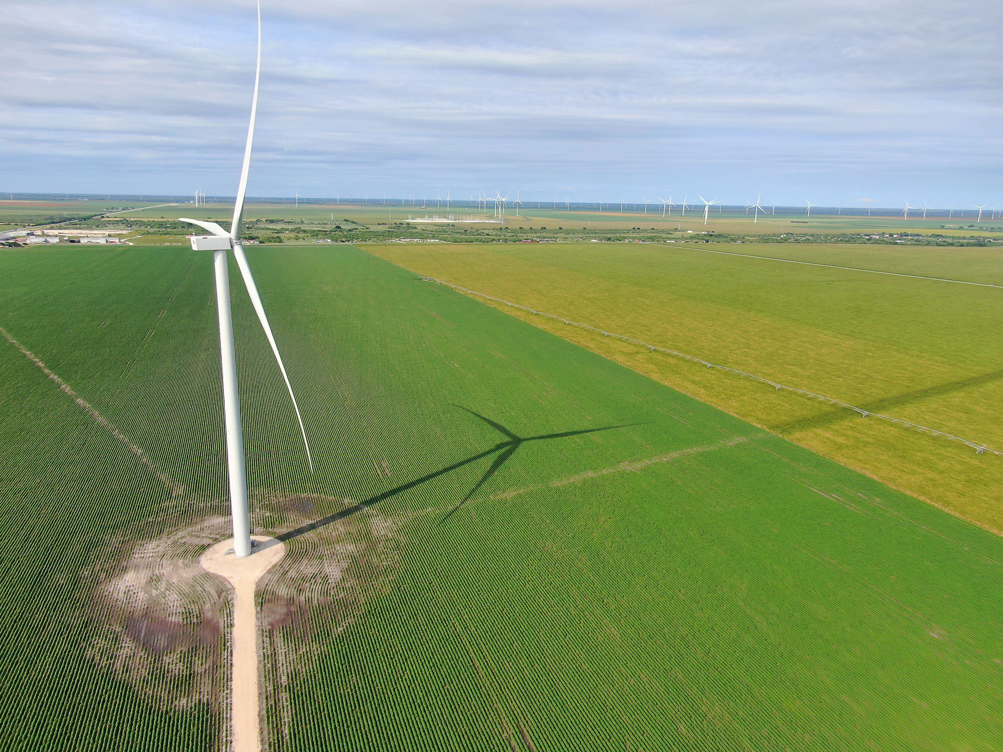 South Texas Wind Farm, Near Mathis Texas