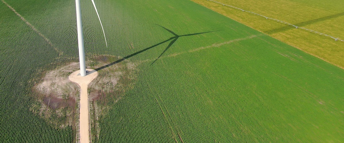 Une éolienne dans un champ verdoyant, sous un ciel dégagé.