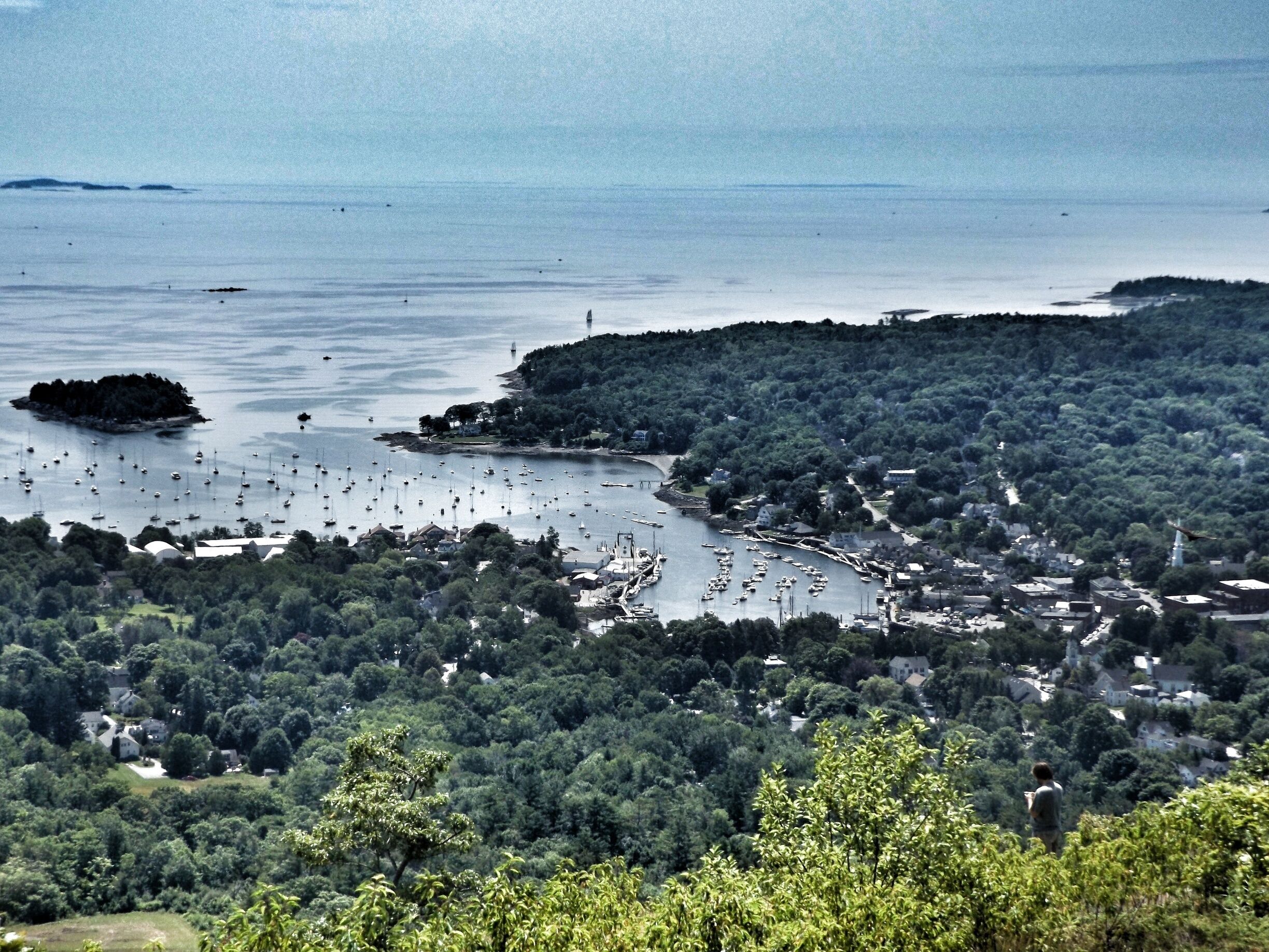 View of the harbor in Camden, ME from Mt Battie