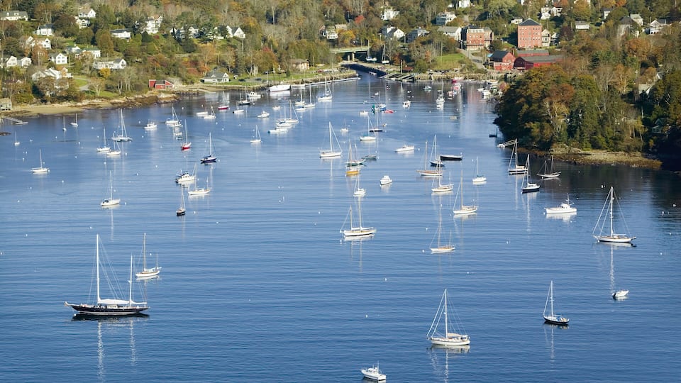 A harbor filled with sailboats surrounded by houses and trees.