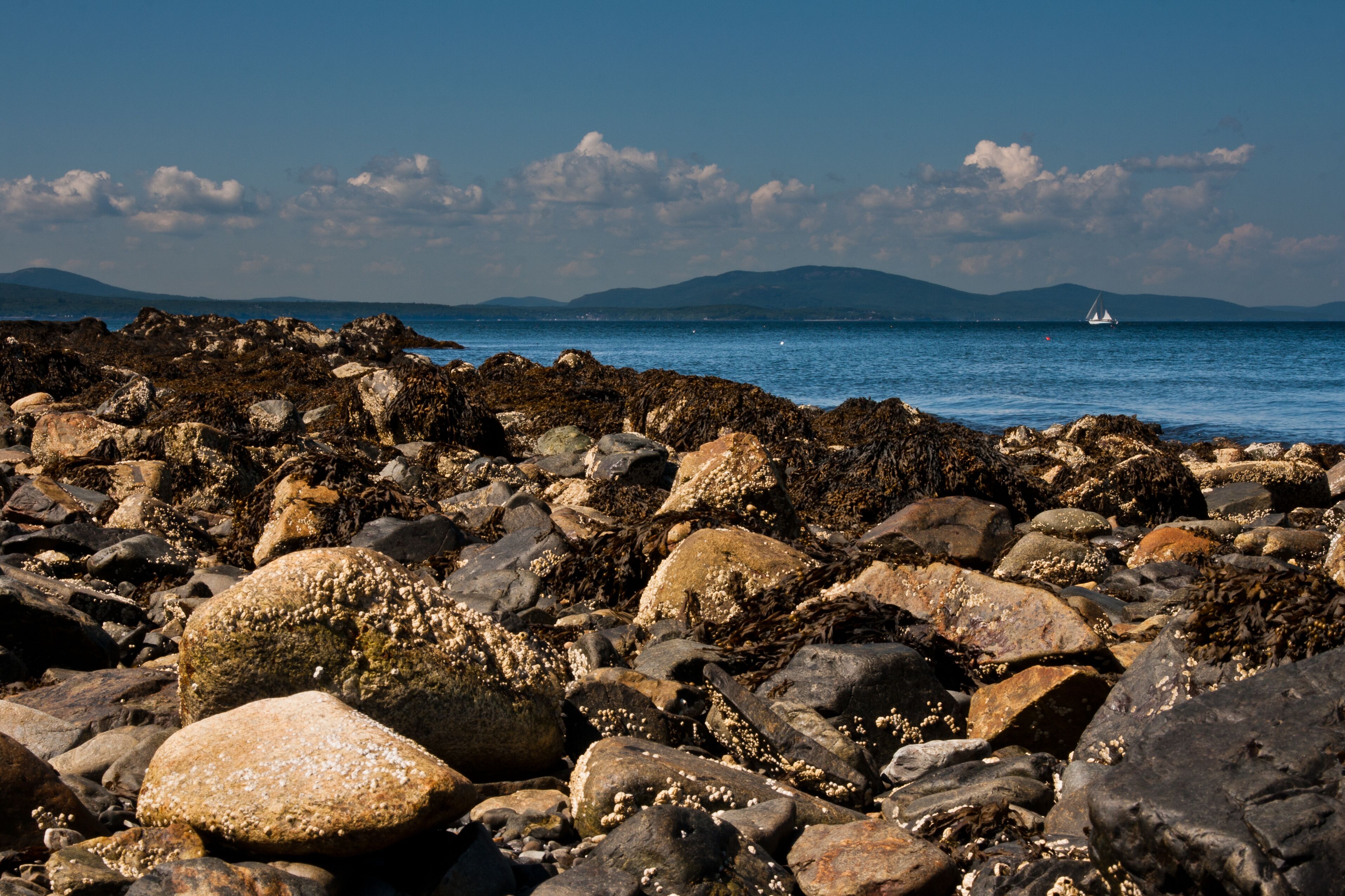 Mountain of Camden Maine.