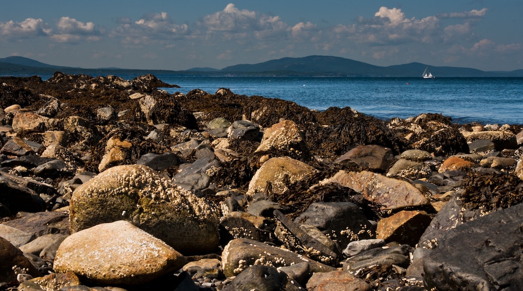 Mountain of Camden Maine.