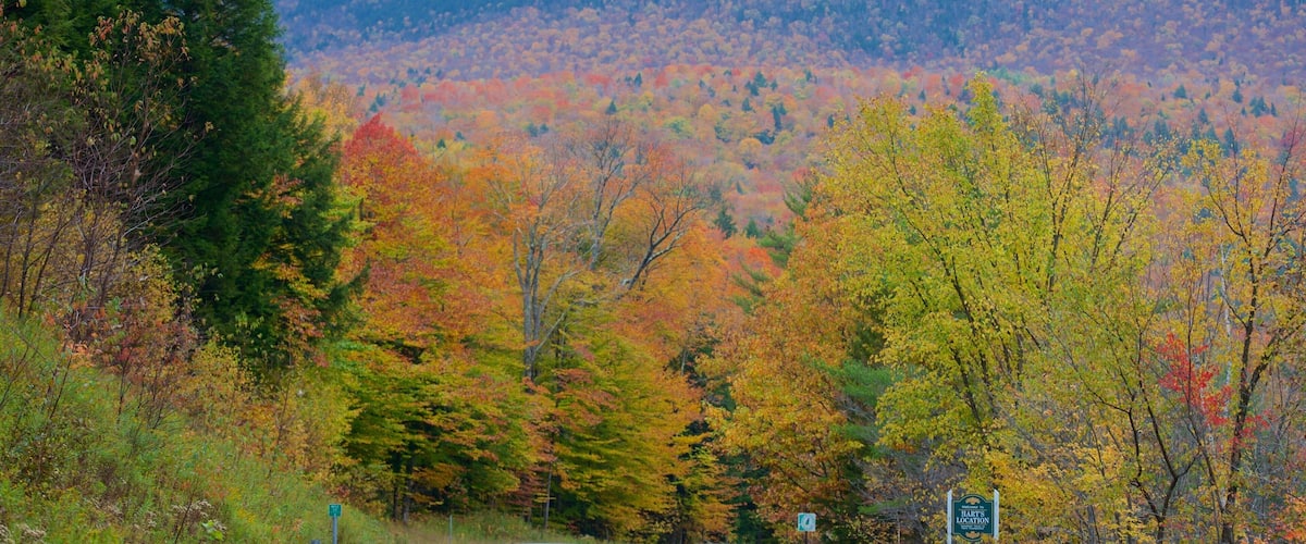 White Mountains featuring autumn leaves and forest scenes