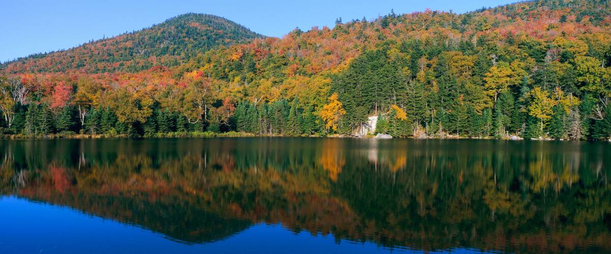 Ein stiller See, der einen Wald mit Herbstlaub spiegelt.