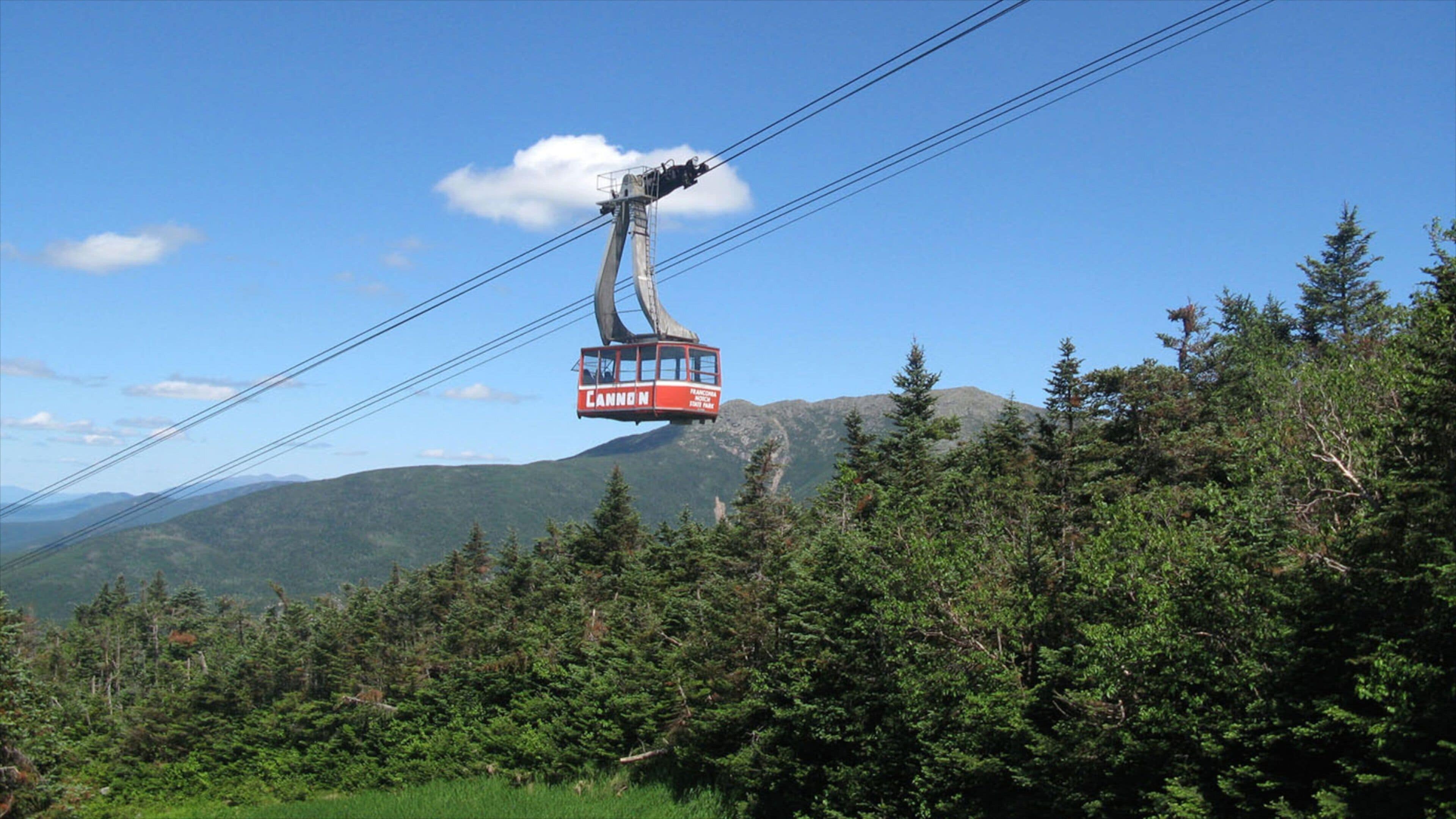 A cable car labeled "Cannon" suspended by a cable, with a mountainous landscape and dense forest in the background.