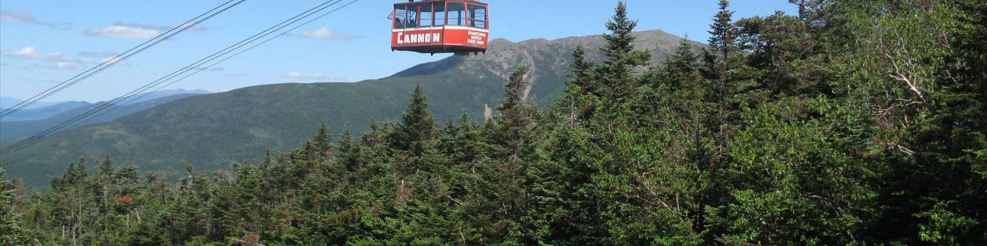 A cable car labeled "Cannon" suspended by a cable, with a mountainous landscape and dense forest in the background.