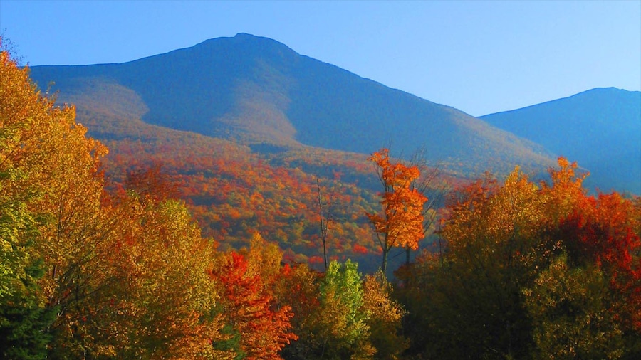 White Mountains which includes mountains, landscape views and fall colors