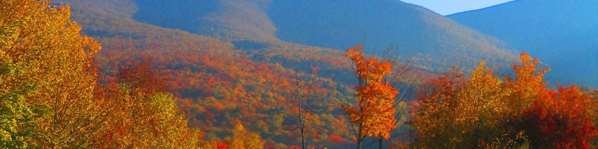 White Mountains que incluye vista panorámica, hojas de otoño y montañas