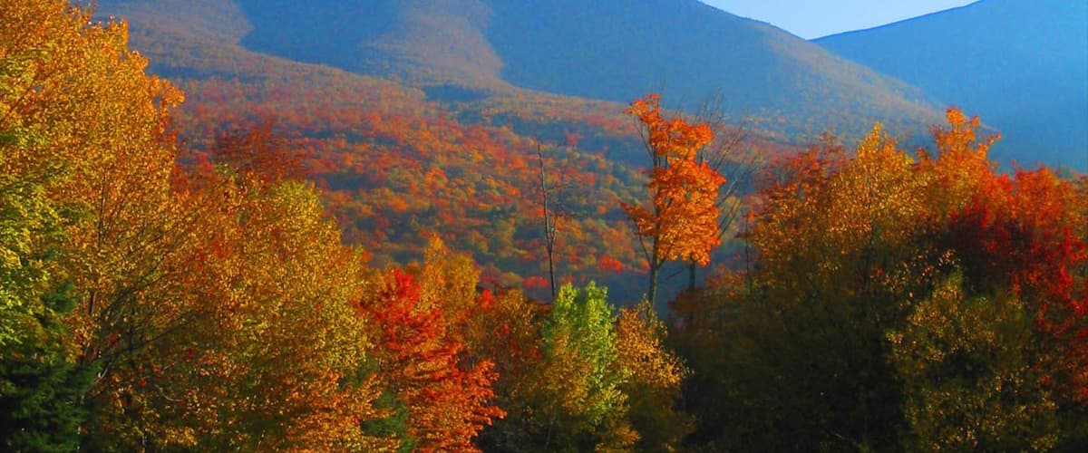 White Mountains showing landscape views, mountains and autumn colours
