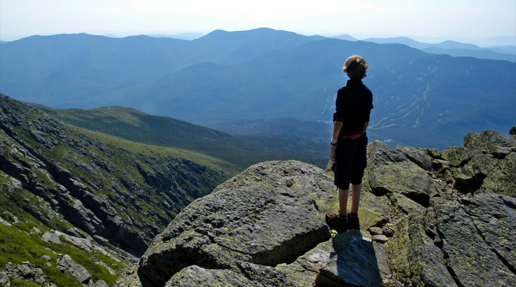 White Mountains som viser fjell, utsikt og rolig landskap