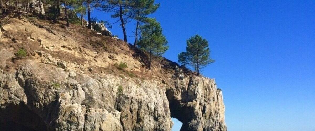 A rocky coastline with a natural arch formation and trees on the cliff.