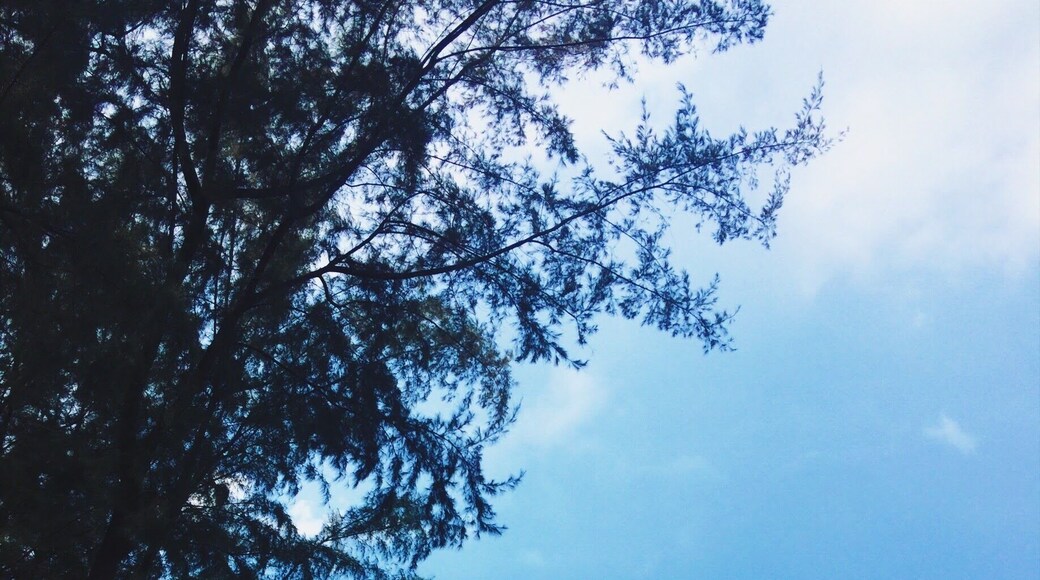 These rocks create a barrier for high tides.
#LifeatExpedia