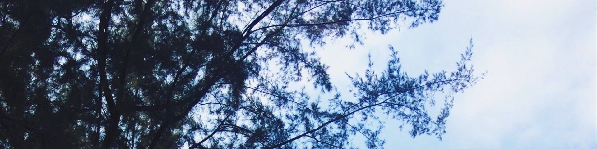 These rocks create a barrier for high tides.
#LifeatExpedia