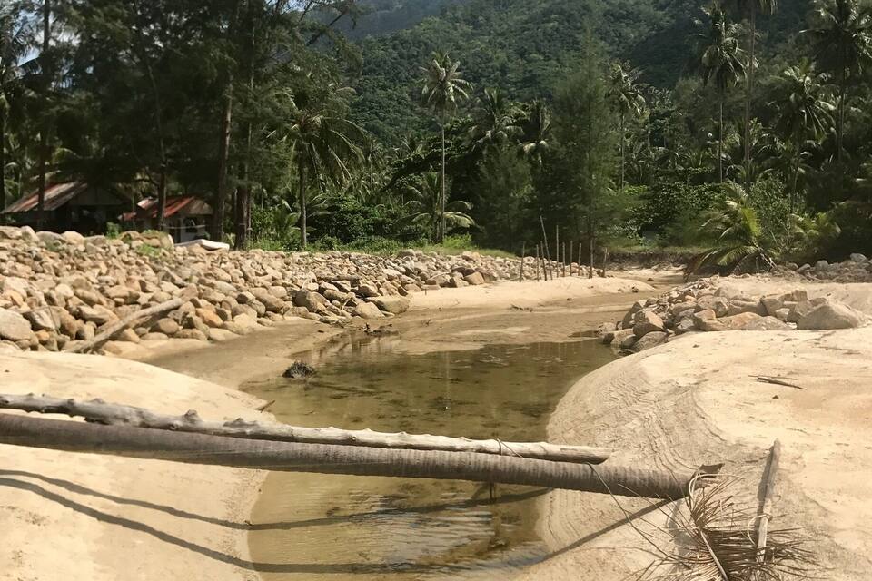 Una playa arenosa con un pequeño cuerpo de agua, rodeada de exuberante vegetación tropical y palmeras.