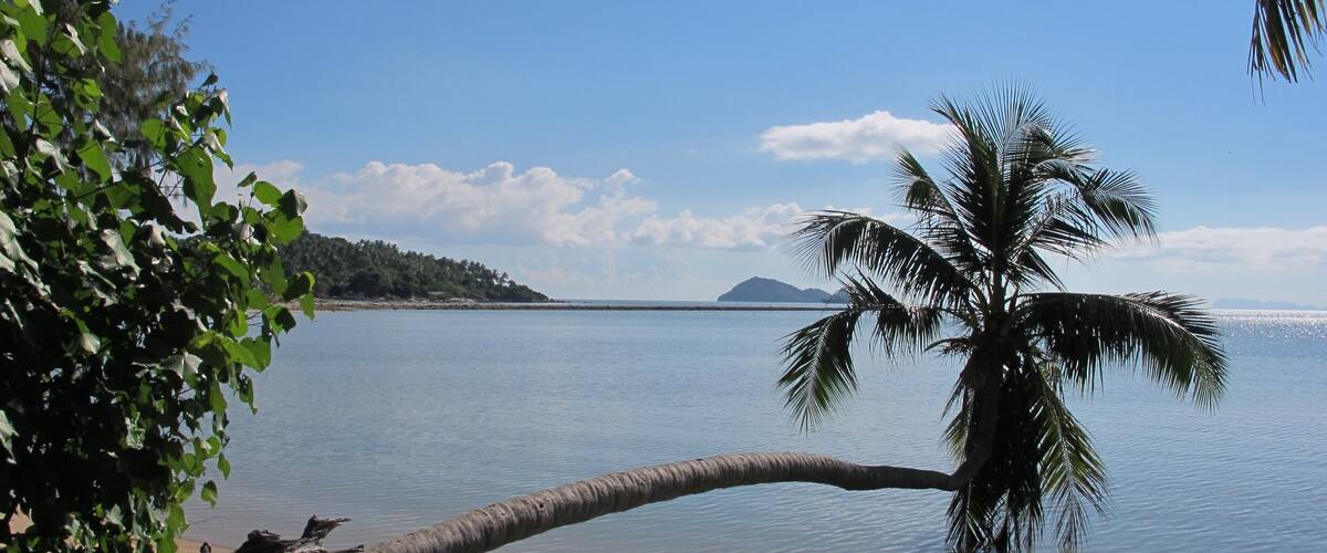 A beach with a leaning palm tree, calm water, and a distant island.