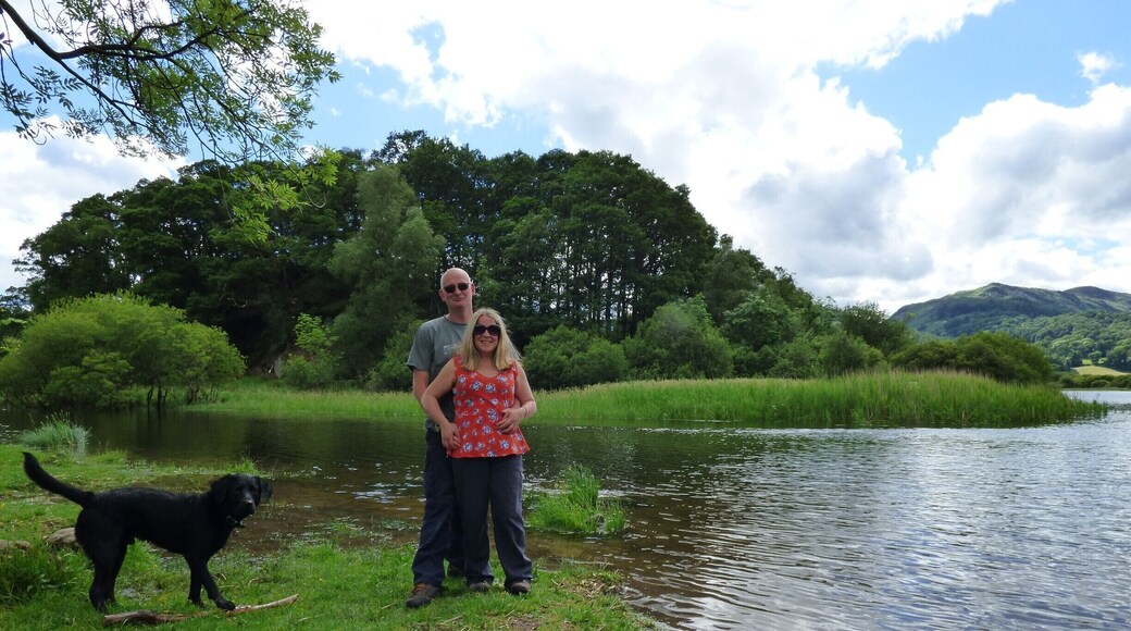 Pretty lake in the Langdale valley. Easy walk from elterwater village , which continues along the river to Skelwith Bridge.