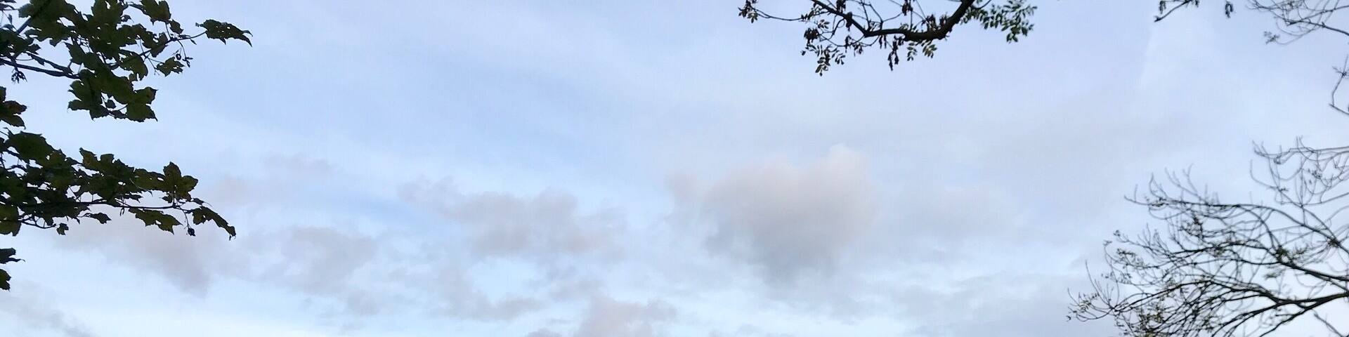 Wonderful place for misty autumn dawn photography