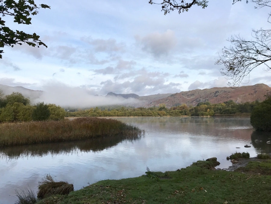 Wonderful place for misty autumn dawn photography