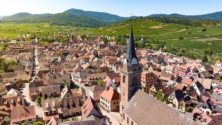 Eine Stadt mit einem markanten Kirchturm, umgeben von Weinbergen und sanften Hügeln.